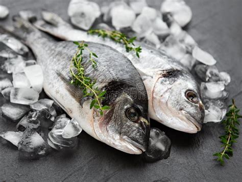 Fresh Fish Dorado Stock Image Image Of Ingredient Healthy 164716569
