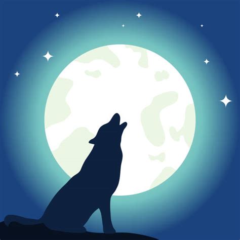 Lone Wolf Howling At The Moon Illustrations Royalty Free Vector