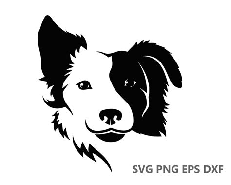 Border Collie Dog Svg Cutting Files Eps Dxf Png Cricut Etsy