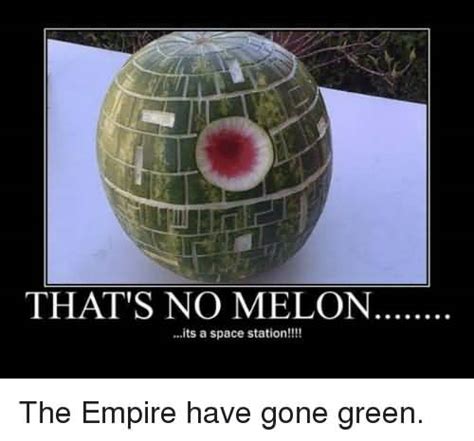 20 Hilarious Melon Meme Images And Photos Picss Mine