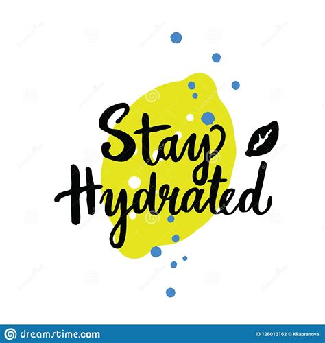 Stay Hydrated Motivation Quote Modern Calligraphy Text Vector