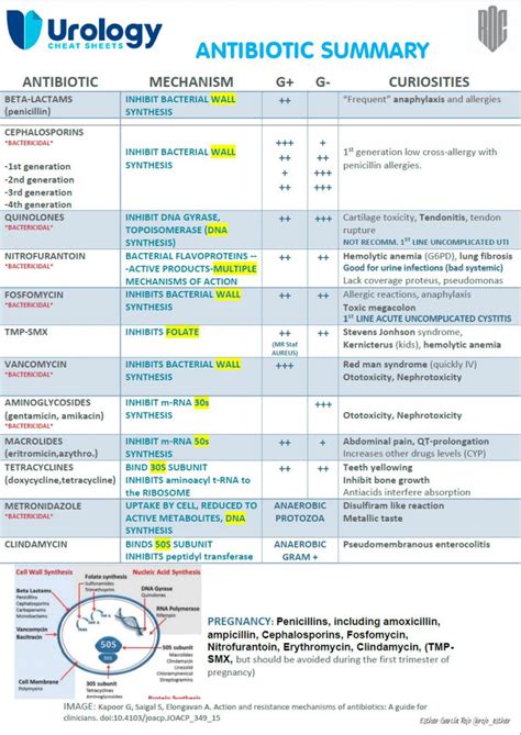 Antibiotics Urology Cheatsheets