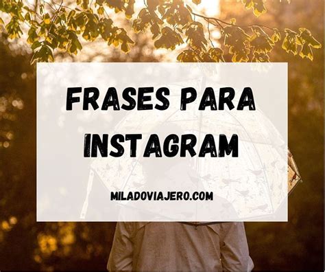 Frases Para Biografia De Instagram Y Perfil Frases Para Info De Insta Bonitas Y