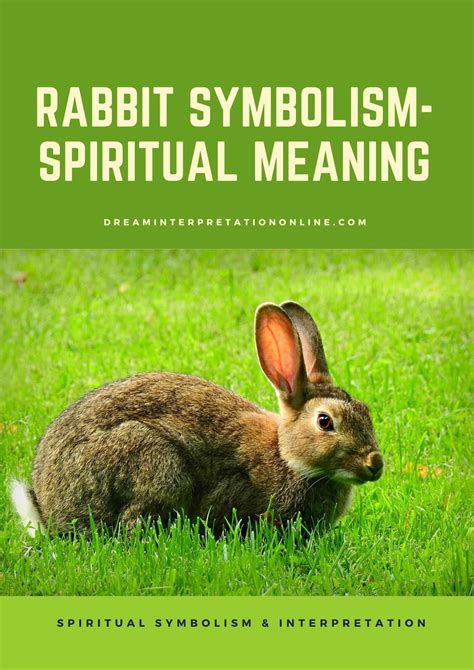 Rabbit Symbolism Spiritual Meaning