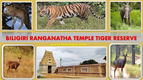 Biligiri Ranganatha Temple Tiger Reserve Learn Upsc