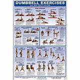 Exercise Programs Using Dumbbells Photos