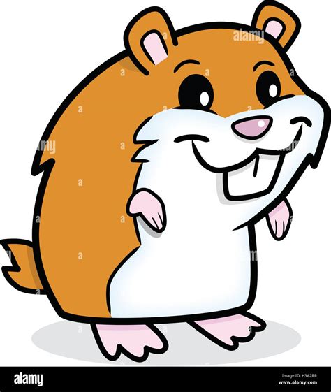 Cute Hamster Stock Vector Image And Art Alamy