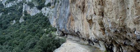 Dans l'ombre de lascaux, la grotte chauvet n'en est pas moins incroyable. Grotte Chauvet : un accord historique avec les ...