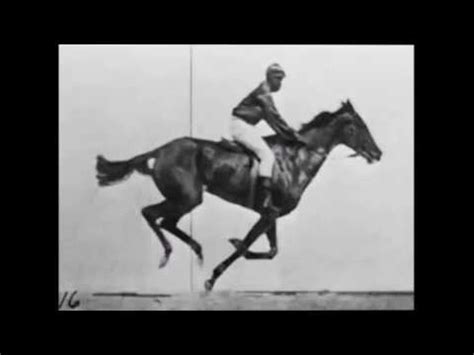 Pferd, pferde, broncos, feld, draussen, galoppierend, landschaft, hengst. Eadweard Muybridge - Galoppierendes Pferd - 1887 - YouTube