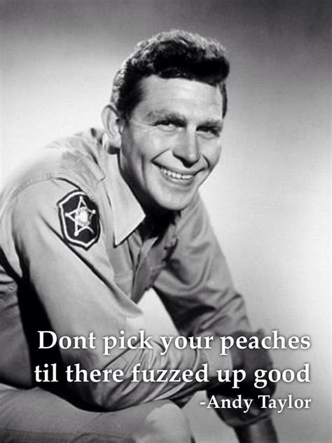 Funny Andy Griffith Quotes Shortquotescc