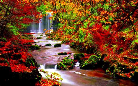 Autumn Scenery Stream River In Autumn Trees With Red