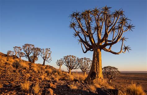 Book your next northern cape vacation today! 12 Top-Rated Tourist Attractions in the Northern Cape ...