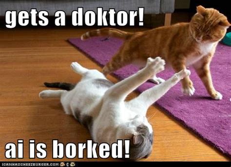 Nawt Sposed To Bend Like Dis Lolcats Lol Cat Memes Funny Cats