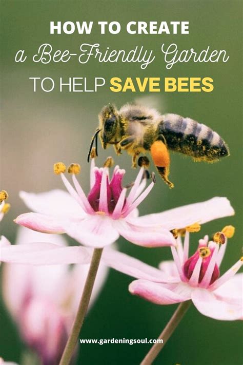 How To Create A Bee Friendly Garden To Help Save Bees