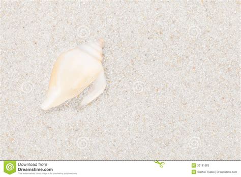 Seashell Aseado En La Playa Arenosa Imagen De Archivo Imagen De Viaje Exterior
