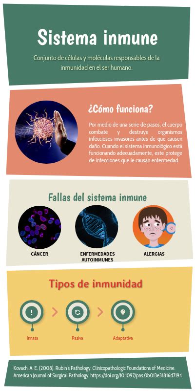 Fp Infografía Del Sistema Inmune