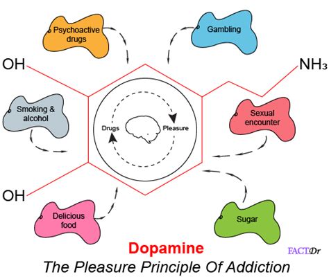 Dopamine Addiction Cycle