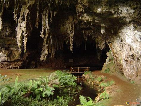 Grotte De Hortense Ile Des Pins New Caledonia Address Reviews