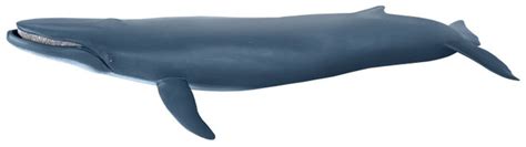 Papo Sea Life Blue Whale 56037 Features Moveable Jaw