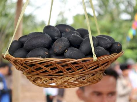 Ini 25 Buah Asli Indonesia Yang Mulai Langka Generasi Milenial Banyak