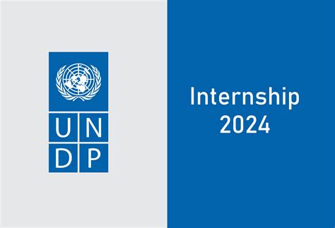Project Interns Needed at UNDP (UNDP Internship 2024)