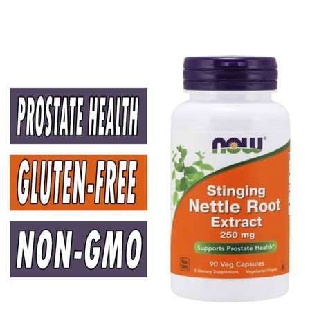 stinging nettle root extract prostate health now