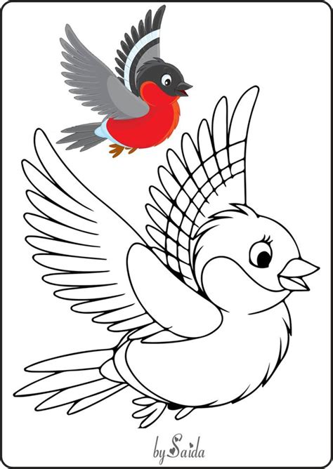 Dibujo De Aves Para Colorear Dibujos Infantiles De Aves Colorear Aves