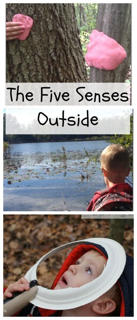 Five Senses Activities For Kids Outdoors Senses Activities Outdoor