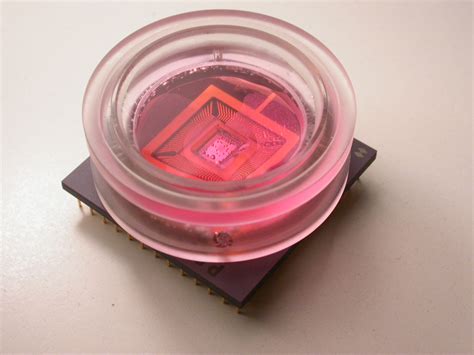 Technology Innovation Neurological Biosensor Chip From Infineon
