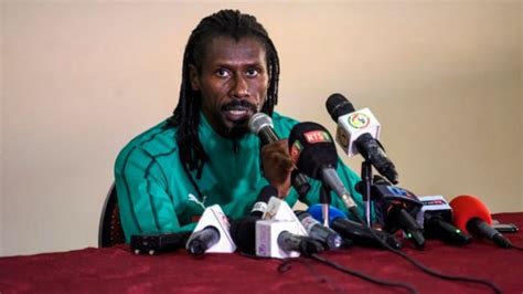 Cinq Choses à Savoir Sur Les Lions Du Sénégal Bbc News Afrique