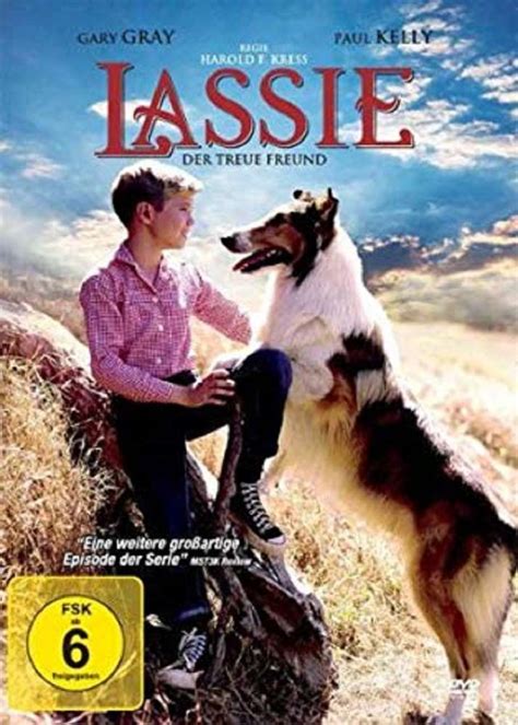 Dvd Lassie Der Treue Freund Von 2011 Fsk 12 Neu And Ovp Hoerspiele