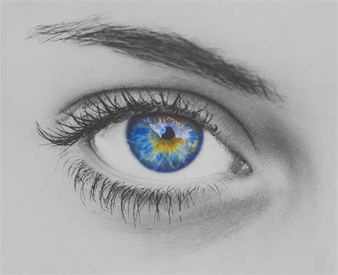 blauw oog van vrouw gratis stock foto public domain pictures