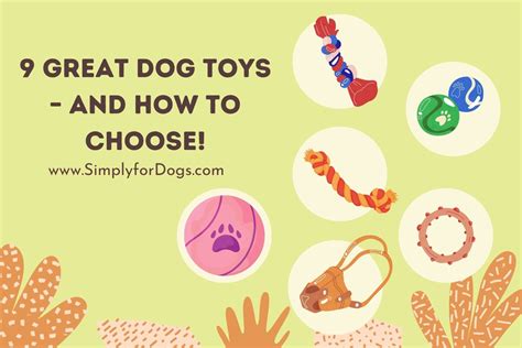 Great Dog Toys And How To Choose Safe And Cheap Simply For Dogs