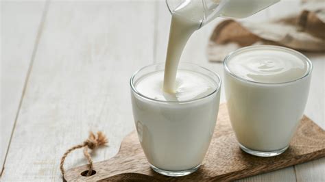 12 Yogurt Based Drinks Around The World