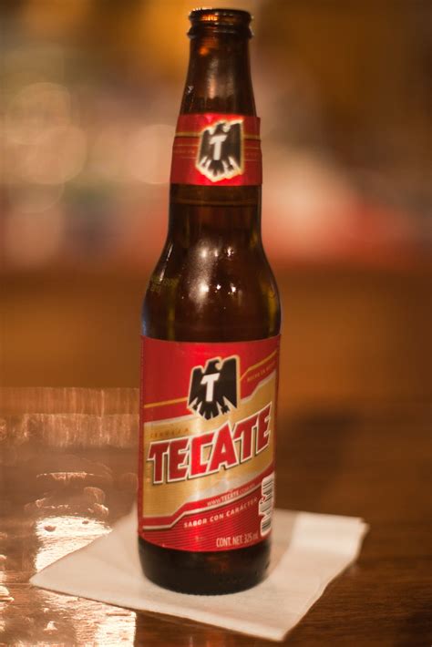 Reviewguru Beers In Mexico Review
