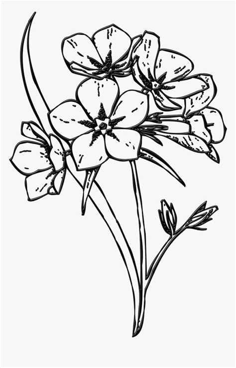 Sketsa menjadi bentuk awal dari sebuah karya seni yang menarik, agar hasilnya sempurna. Gambar Sketsa Bunga Teratai Yang Gampang | Inapg Id