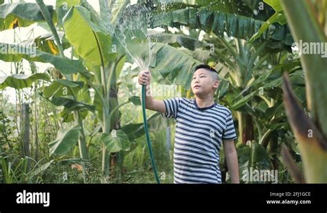 Child Banana Plantation Stock Videos And Footage Hd And 4k Video Clips