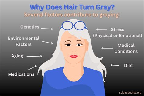 Why Does Hair Turn Gray Is Graying Reversible