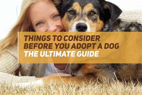 Things To Consider Before You Adopt A Dog Ultimate Guide Puppyfaqs