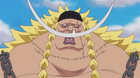 8 Things You Should Know About Edward Weevil One Piece Gold