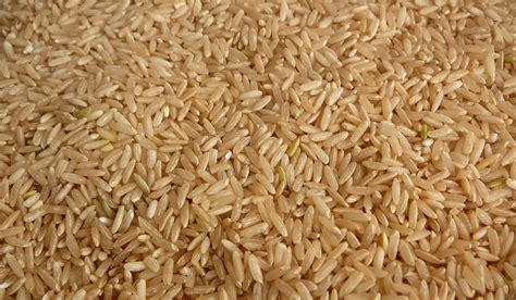 Rah Cha Chow Plain Old Brown Rice Perfectly Cooked
