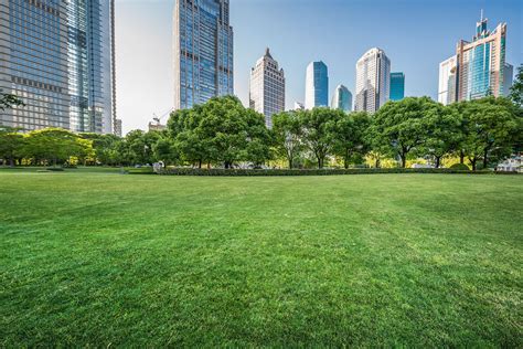 Living Near Urban Green Spaces Can Reduce Breast Cancer Risk Better
