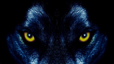 You can also upload and share your favorite fantasy wolf wallpapers. Download wallpaper 3840x2160 wolf, eyes, predator, sight ...