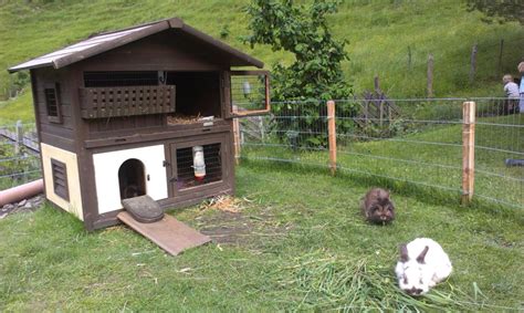 _____ eine kleine welt im wohnzimmer. Hasen- und Meerschweinchen Haus - Voglbach