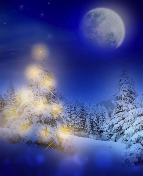 Magical Snowy Evening Scene Including A Lighted Christmas Tree