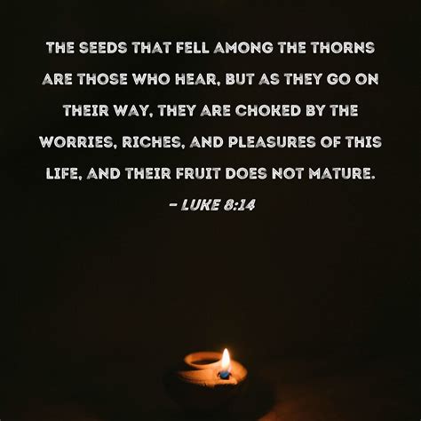 Luke 814 The Seeds That Fell Among The Thorns Are Those Who Hear But