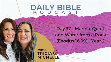 Day 37 Manna Quail And Water From A Rock Exodus 16 19 Year 2