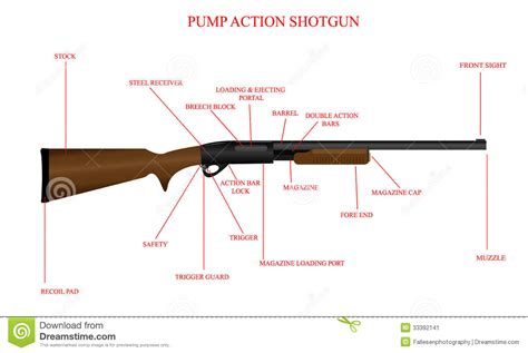 Labeled Shotgun Diagram Stock Image Image 33392141