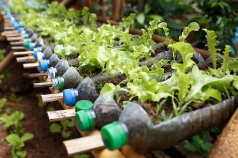 10 Recycled Gardening Ideas To Use In Your Garden