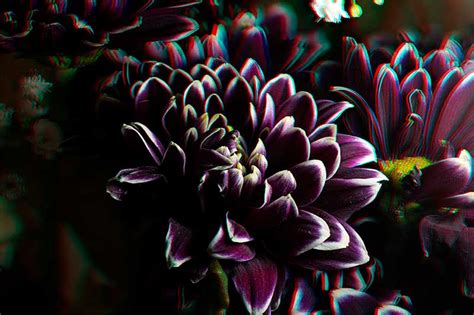 Anaglyph 3d Photography How To Create Stereoscopic 3d Photos